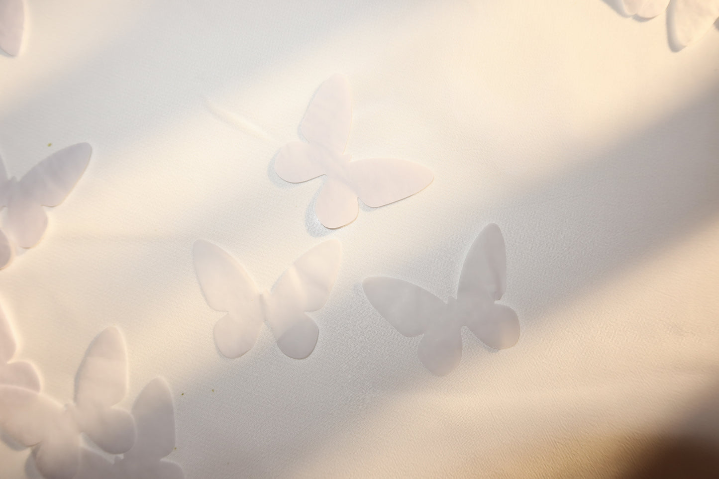 White Biodegradable Confetti